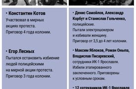 5 лет колонии за файер на митинге