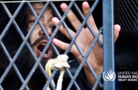 Обзор практики Комитета против пыток ООН