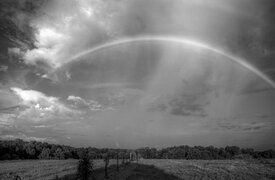 «Международное общественное движение ЛГБТ»?