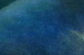 Новые пытки в Ярославле